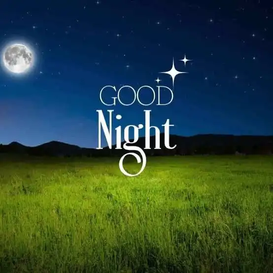 good night dp